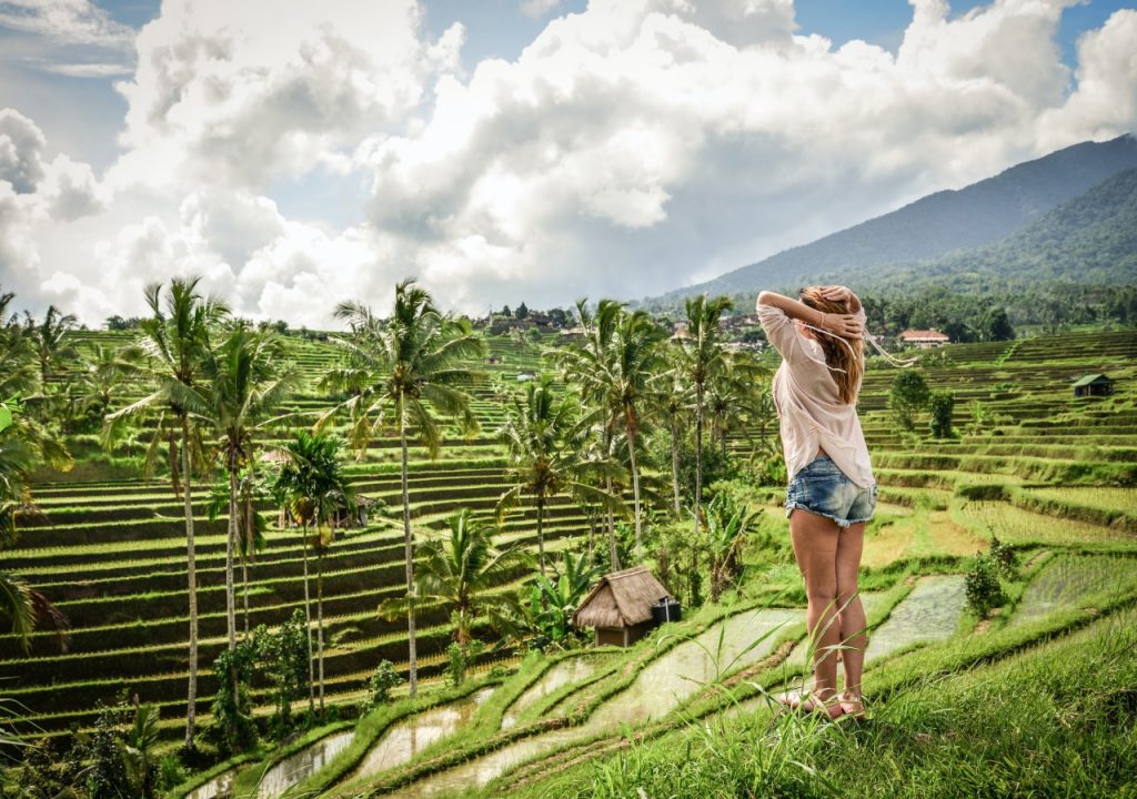 bali ricefiled eats2 Indonesian indonesian indonesian - When traveling Indonesia  