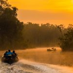 Orangután tour speedboat borneo