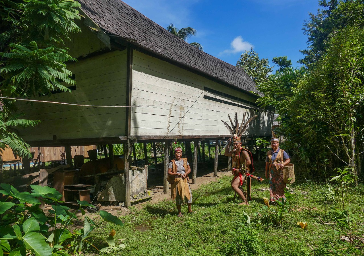 dayak tribe kalimantan borneo come2indonesia / Indonesian Dayak tribes