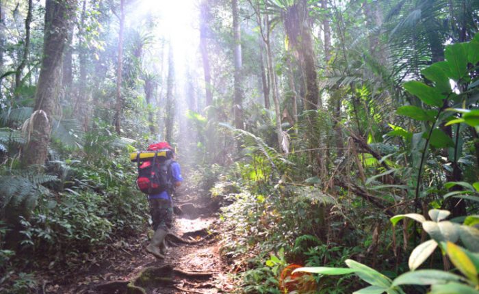 Kerinci Seblat Trekking by come2indonesia