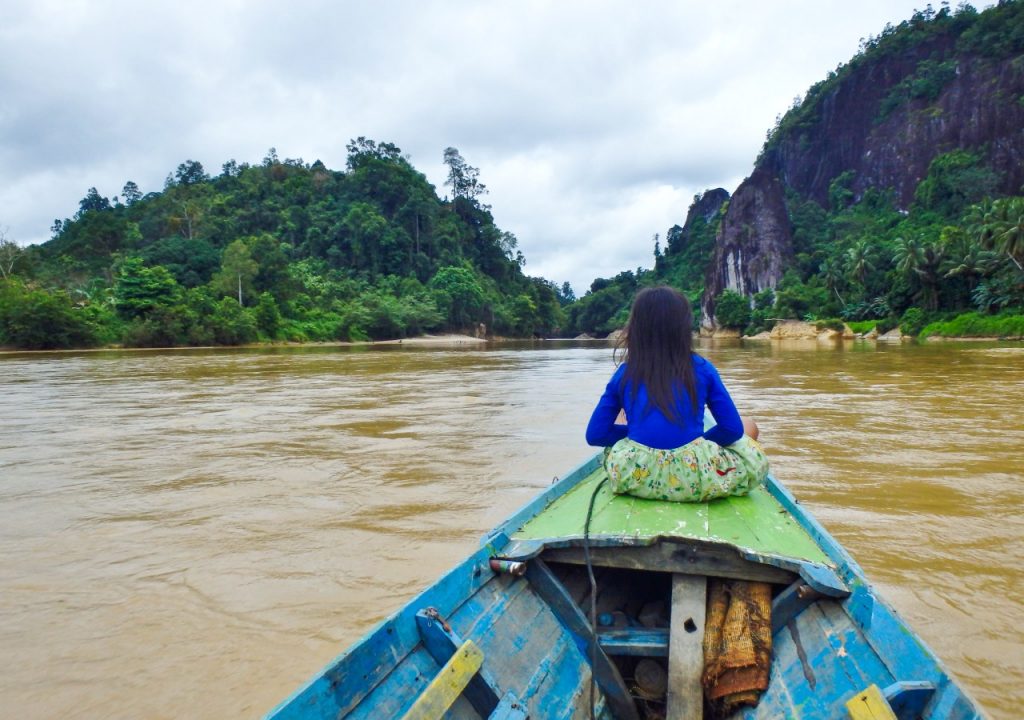 Borneo Indonesia kalimantan Orangutan tour dayaks Indonesia