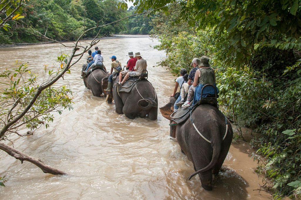 trekking riding an elephant Sumatra by come2indonesia