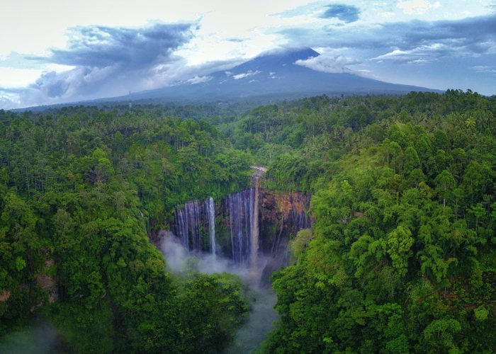 Tours por la naturaleza indonesio