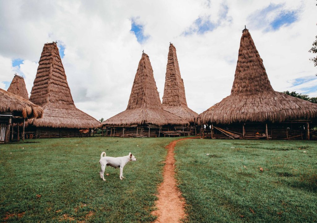 Festival Pasola en la isla de Sumba