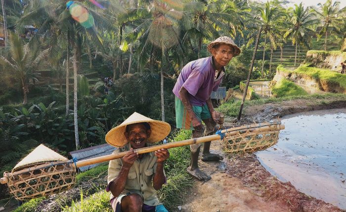 Ubud Bali Indonesia local rice terrace - Come2Indonesia