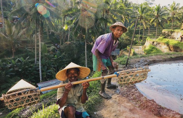 Ubud Bali Indonesia local rice terrace - Come2Indonesia