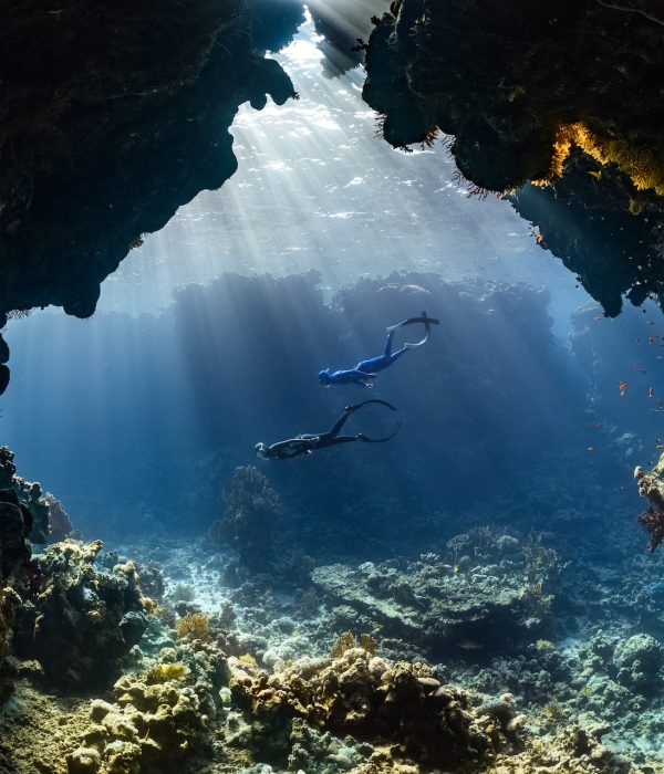 Bali diving divers