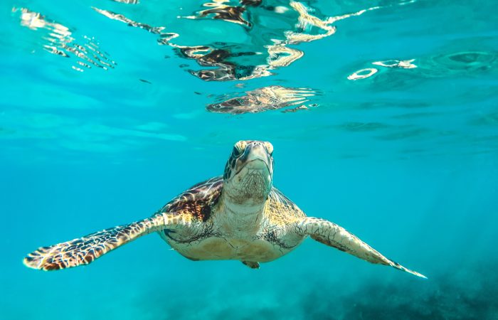 Top 10 Destinations in Indonesia