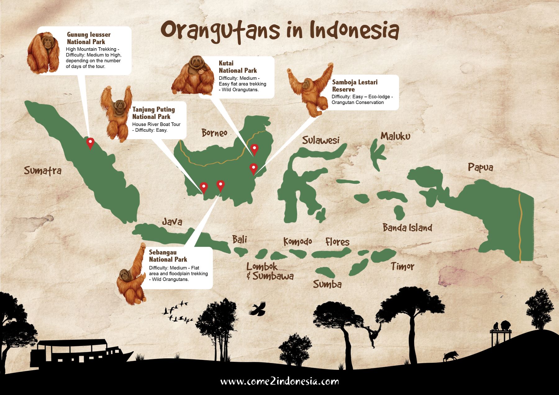 Orangutans in Indonesia