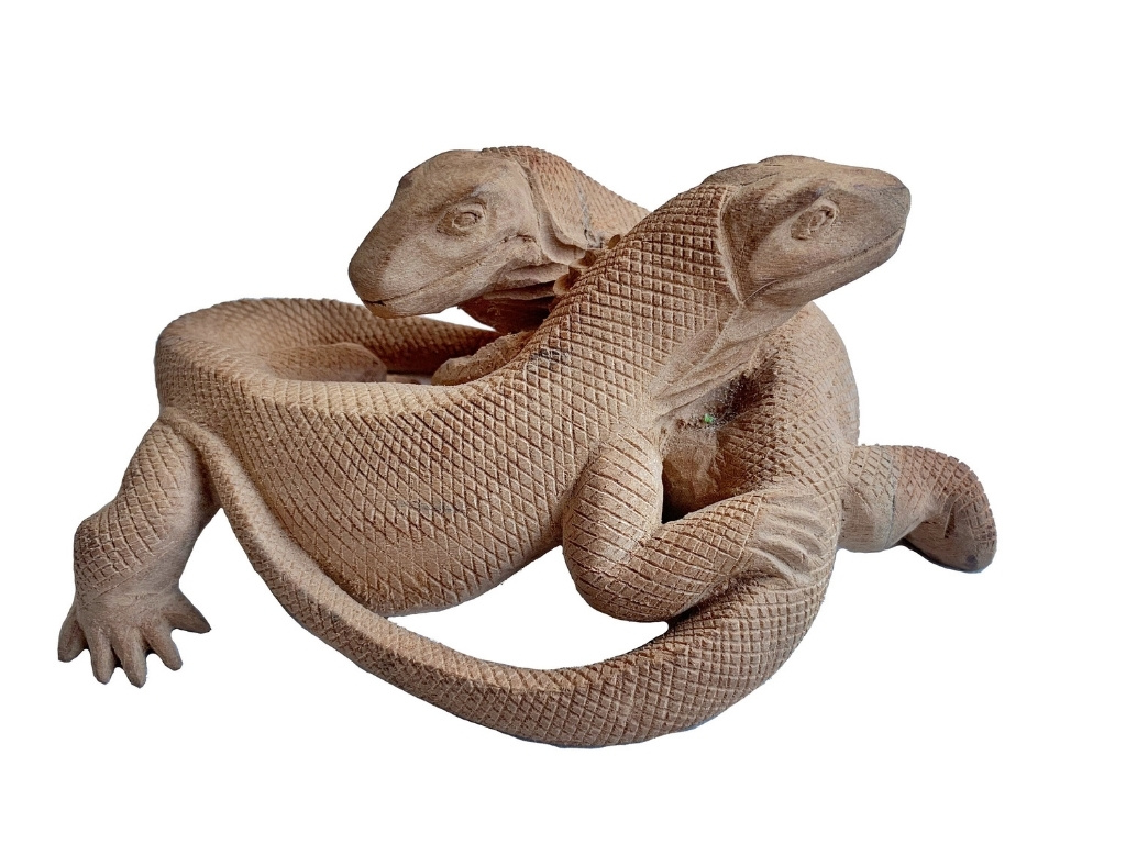 komodo national park