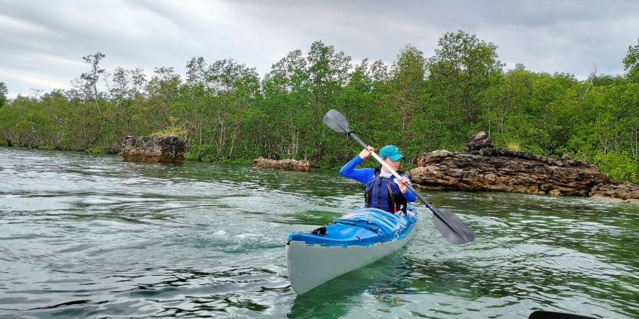 Aventura en Kayak por la Cueva Rangko: Manglares, murciélagos y aguas turquesas, Flores