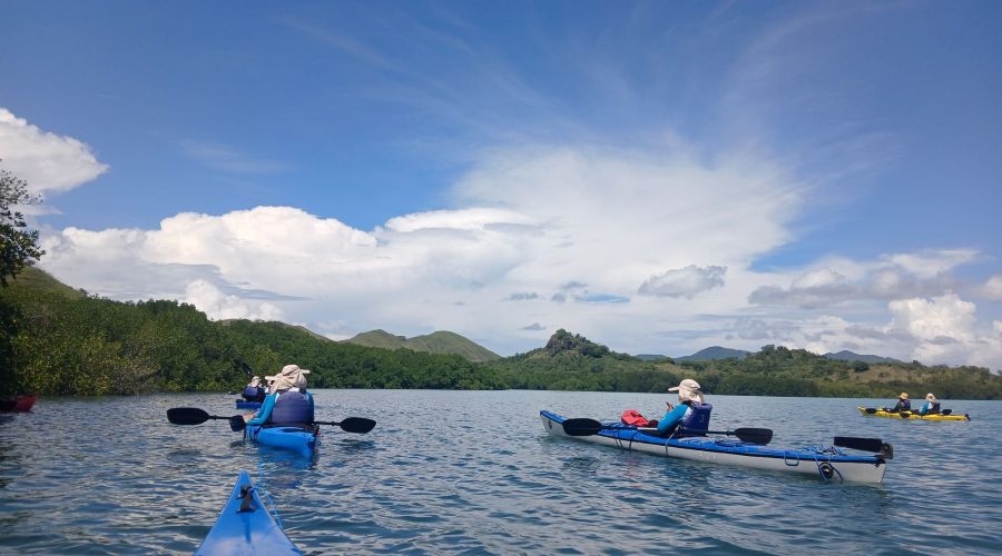 Aventura en Kayak por la Cueva Rangko: Manglares, murciélagos y aguas turquesas, Flores
